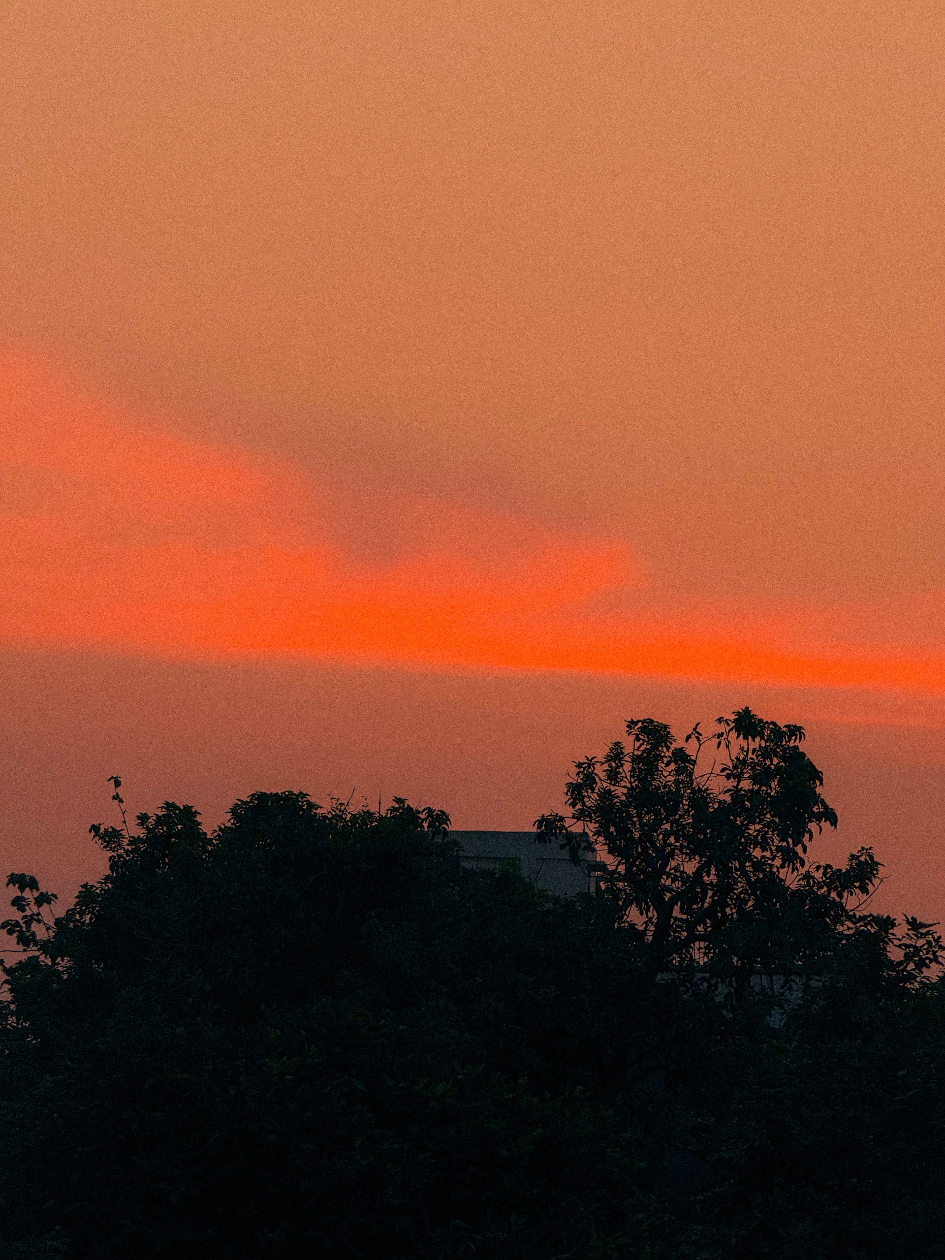 Crimson Skyline